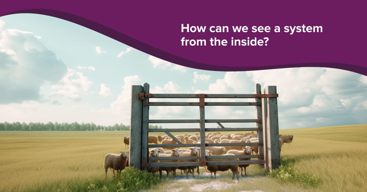 Figure 2 - How can we see a system from the inside?